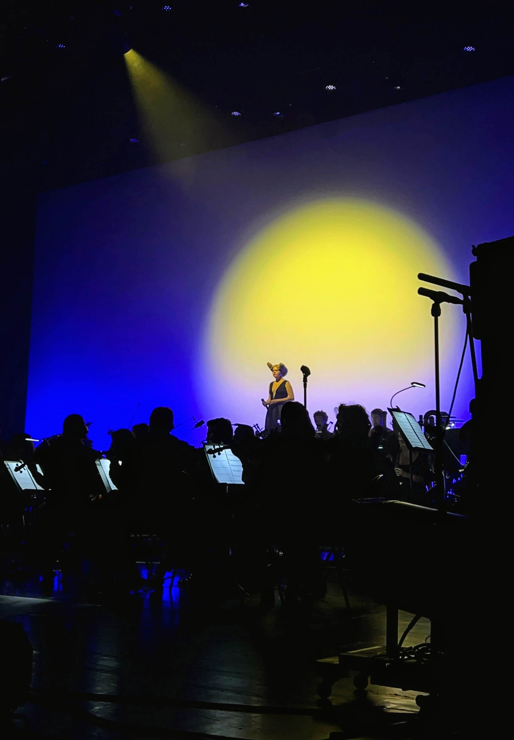 Zaho Symphonique Roubaix