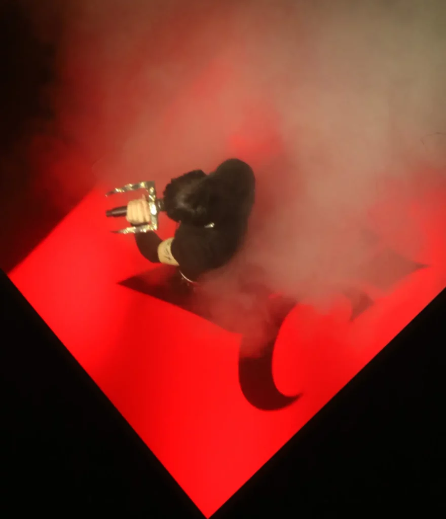 Artiste chantant sur une scène rouge éclairée, entouré de fumée, vu du dessus.