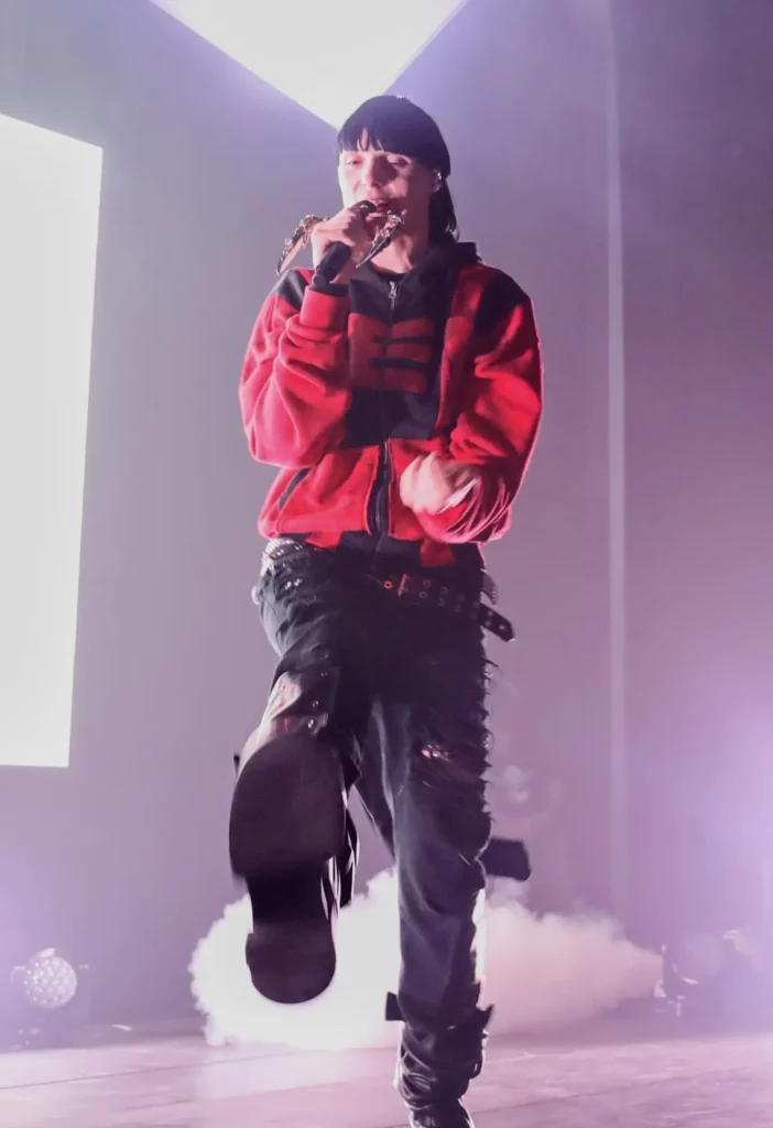 Artiste en concert avançant vers le public, micro à la main, sous un éclairage rose et une scène enfumée.