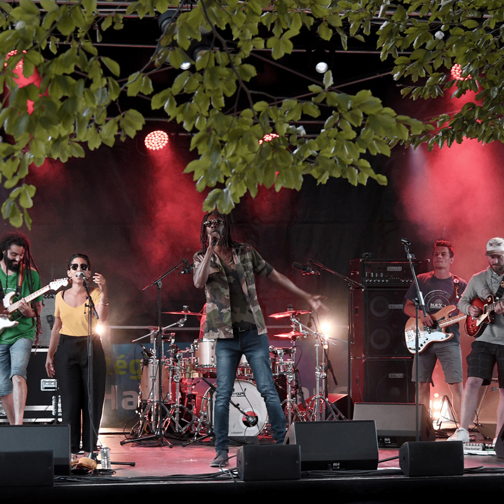 MAX’1 AND THE ROOTSMAKERS